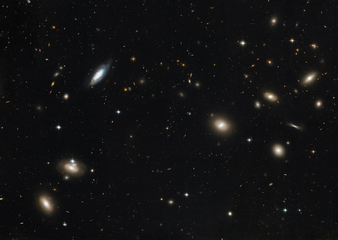 Coma Cluster